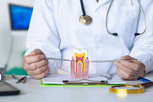 Best Pediatric Emergency Dentist in Newport, WA